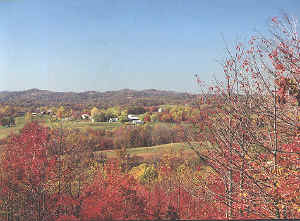 fairview.jpg (382657 bytes)